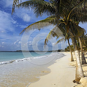 Tropical beach - Cancun - Mexico