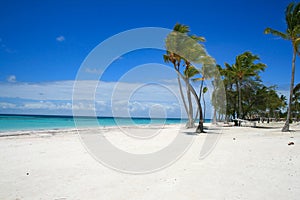Tropical Beach in Cap Cana Dominican Republic photo
