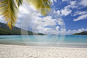 Tropical beach in the Caribbean