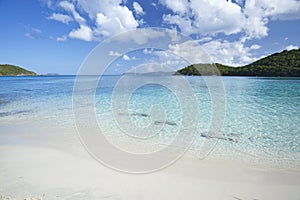 Tropical beach in the Caribbean photo