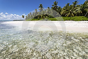 Tropical beach in caribbean sea, idyllic Saona island, Dominican Republic