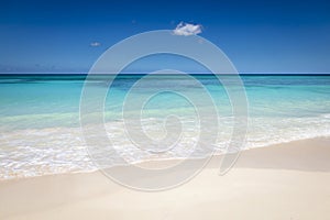 Tropical beach in caribbean sea, idyllic Saona island, Dominican Republic