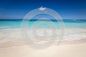 Tropical beach in caribbean sea, idyllic Saona island, Dominican Republic