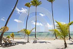 Tropical beach in caribbean sea, idyllic Saona island, Dominican Republic