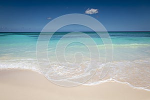 Tropical beach in caribbean sea, idyllic Saona island, Dominican Republic