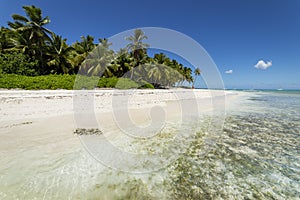Tropical beach in caribbean sea, idyllic Saona island, Dominican Republic
