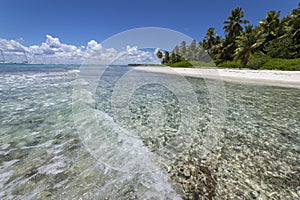 Tropical beach in caribbean sea, idyllic Saona island, Dominican Republic