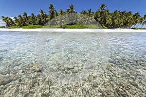 Tropical beach in caribbean sea, idyllic Saona island, Dominican Republic