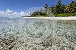 Tropical beach in caribbean sea, idyllic Saona island, Dominican Republic