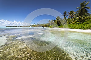 Tropical beach in caribbean sea, idyllic Saona island, Dominican Republic