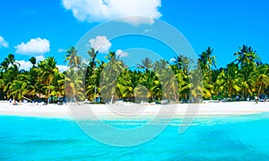 Tropical beach in caribbean sea, Saona island, Dominican Republic