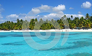 Tropical beach in caribbean sea, Saona island, Dominican Republic