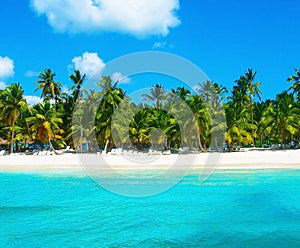 Tropical beach in caribbean sea, Saona island, Dominican Republic