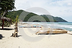 Tropical beach in Cayo Levantado, Dominican Republic