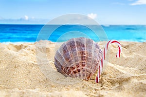 Tropical beach Christmas and New Year background