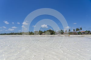 Tropical beach with clear water, blue sky and green palm trees on island Zanzibar, Tanzania, Africa