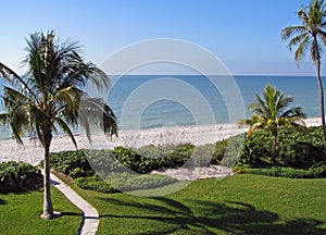 Tropical beach coastal area