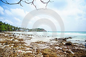 Tropical beach with coconut palm