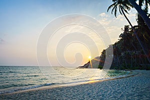 Tropical beach with coconut palm