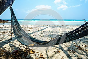 Tropical beach with coconut palm