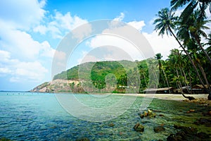 Tropical beach with coconut palm