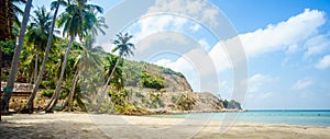 Tropical beach with coconut palm