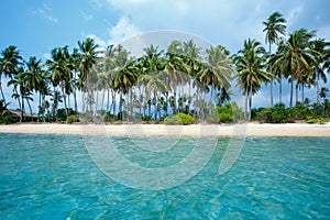 Tropical beach and coconut palms in Koh Samui, Thailand