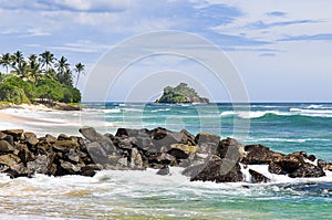 Tropical beach with coconut palms on shore