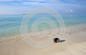 Tropical beach with a coconut shell