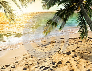 Tropical beach with coconut tree on sunset