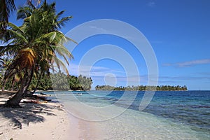 Tropical beach and coconut trees