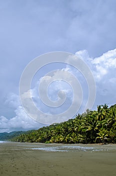 Tropical Beach - Costa Rica