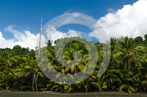 Tropical Beach - Costa Rica