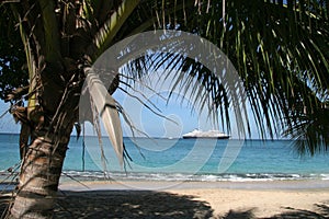 Tropical Beach with cruise ship on the horizon