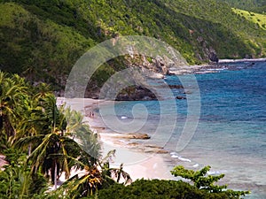 Tropical beach in Davis Bay