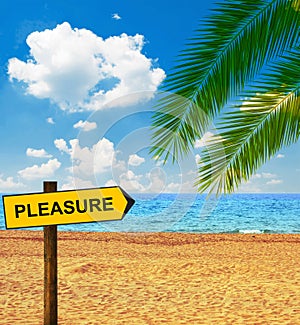 Tropical beach and direction board saying PLEASURE