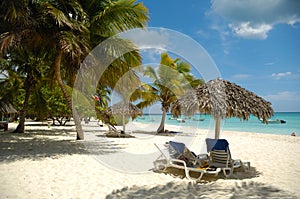 Tropical beach. The Dominican Republic, Saona Island