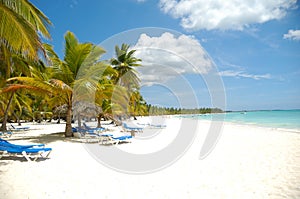 Tropical beach. The Dominican Republic, Saona Island