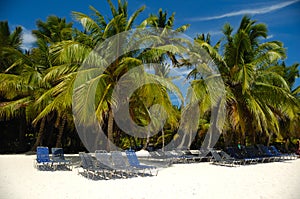 Tropical beach. The Dominican Republic, Saona Island