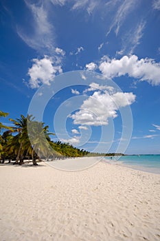 Tropical beach. The Dominican Republic, Saona Island