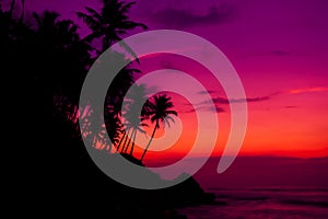 Tropical beach at dusk after colorful sunset with coconut palm trees