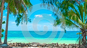 Tropical beach on the edge of the road in Praslin island