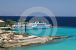 Tropical beach in Egypt