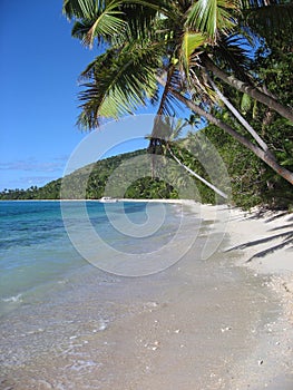 Tropical beach of fijian island, vertical