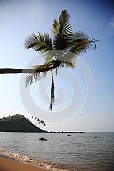 Tropical beach in Goa, India