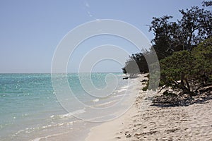 Tropical beach on the Great Barrier Reef in Queensland, Australia