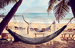 Tropical beach with hammock