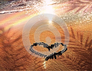 Tropical  beach and heart symbol on sand , palm  leaf shadow on  gold  sunset  light nature landscape  background