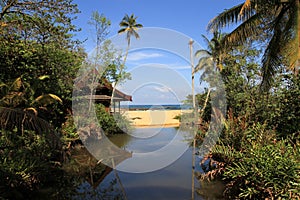 Tropical beach house in jungle