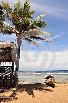 Tropical beach hut and canoe